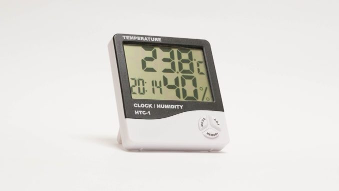 Hygrometer Terrarium